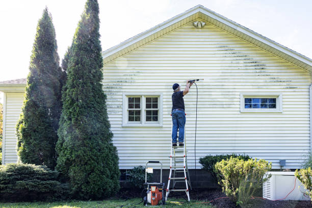 Best Gutter Cleaning  in Los Fresnos, TX